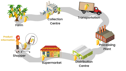 Download Sustainable Mangoes Final Pitch Deck